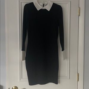 Back Venus Collared Dress